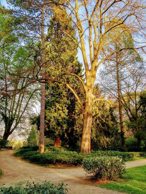 Hotel Eden Am Kurpark Bonn Kültér fotó